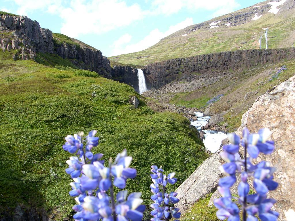 Reydarfjordur Apartment Exteriör bild